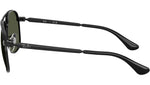 Bill Max RB3793 002/31