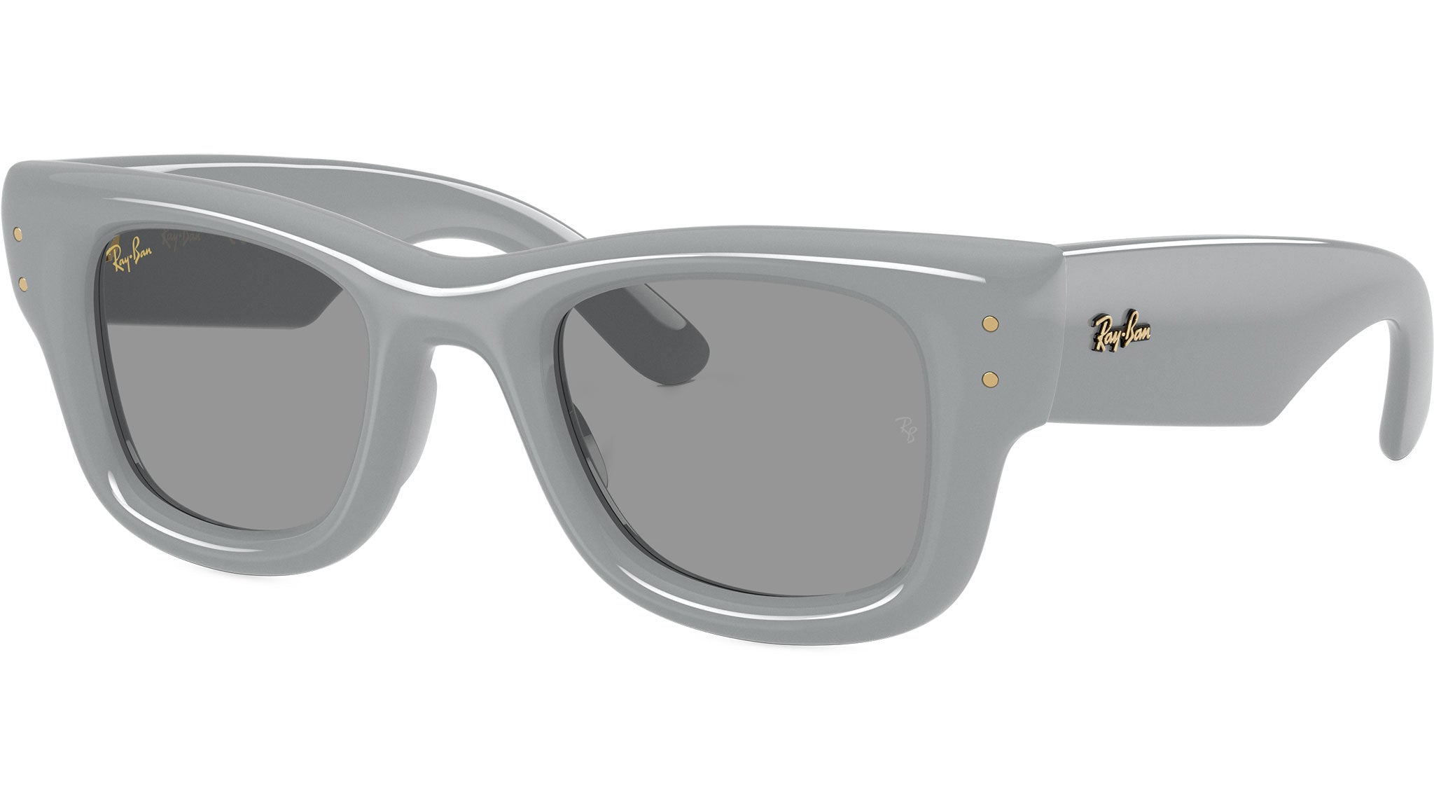 Ray-Ban Warren RB4396 6681/3 Green Sunglasses - eye-oo.com