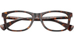 RA7179U 5003