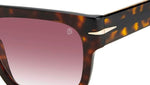 DB 7044/S 2IK 3X Havana Gold