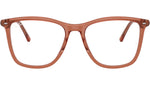 RB5455 Optics 8511