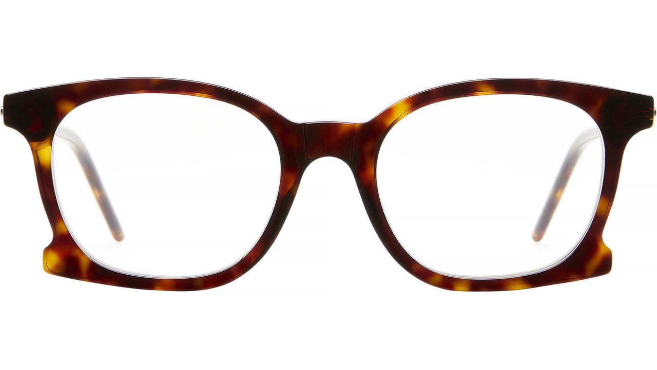 D71 TS Tortoise