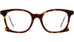 D71 TS Tortoise