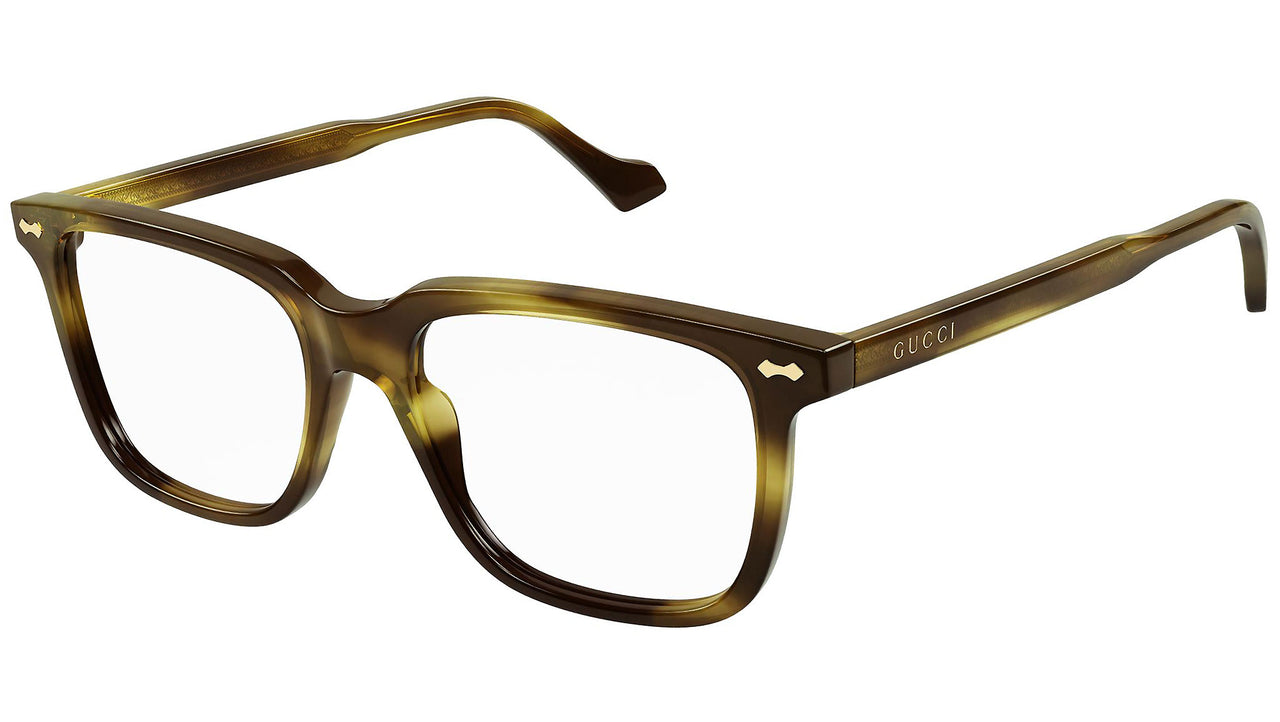 GG0737O 009 brown tortoise