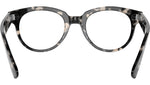 RB2199V Optics 8117