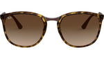 RB4299 710/13 tortoise