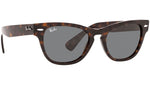 Laramie RB2201 902/B1 tortoise
