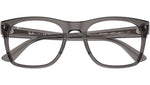 RB7228 Optics 8257