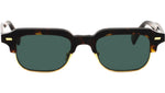 RAY Tortoise