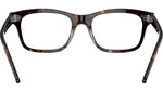 Mr Burbank Optics RB5383 2012