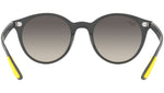 RB4296M F60811 matte grey