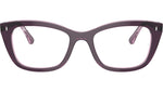 RB5433 Optics 8364