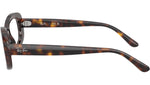 RB2221V Optics 2012