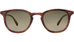 Coopers S Moth Tortoise