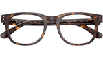 RB5461D Optics 2012
