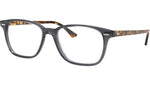 RB7119 Optics 5629