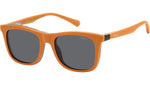 PLD 8055/CS L9G M9