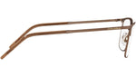 DG 1309 1356 brown