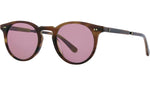Luckman S Moth Tortoise