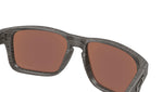 Holbrook S OO9509 05