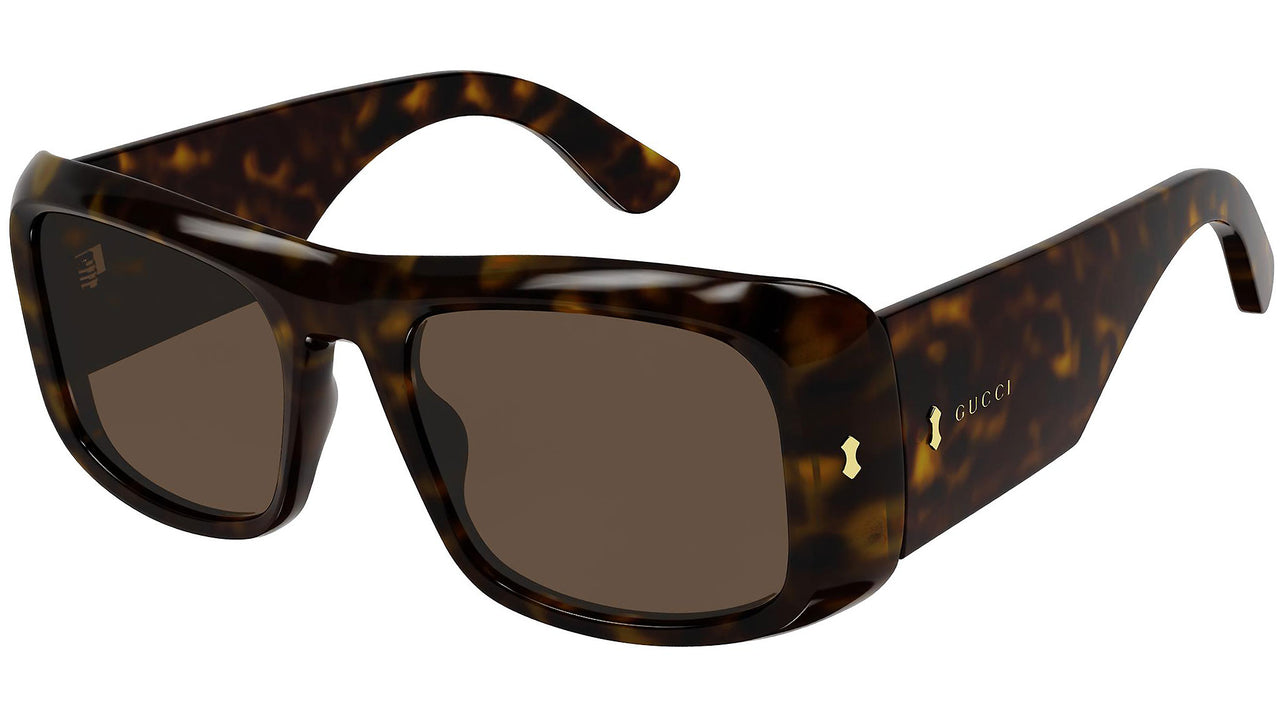 GG1080S 002 shiny tortoise