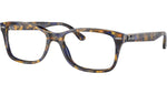 RB5428 Optics 8174