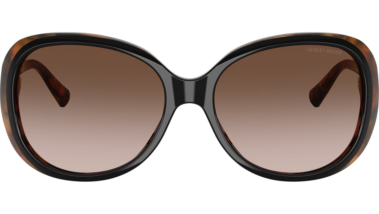 AR 8047 504913 Black