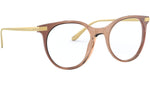 DG 3330 3269 brown