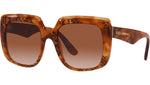 DG 4414 338013 tortoise