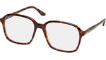 Marguerite Tortoise