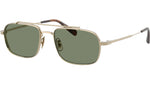 Caylor OV1382ST 503552