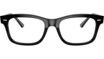 Mr Burbank Optics RB5383 2000