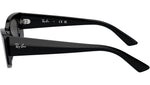 Kat RB4427 667787 Black
