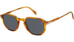 DB 1140/S KVI IR Striped Brown