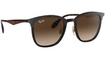 RB4278 brown matte havana