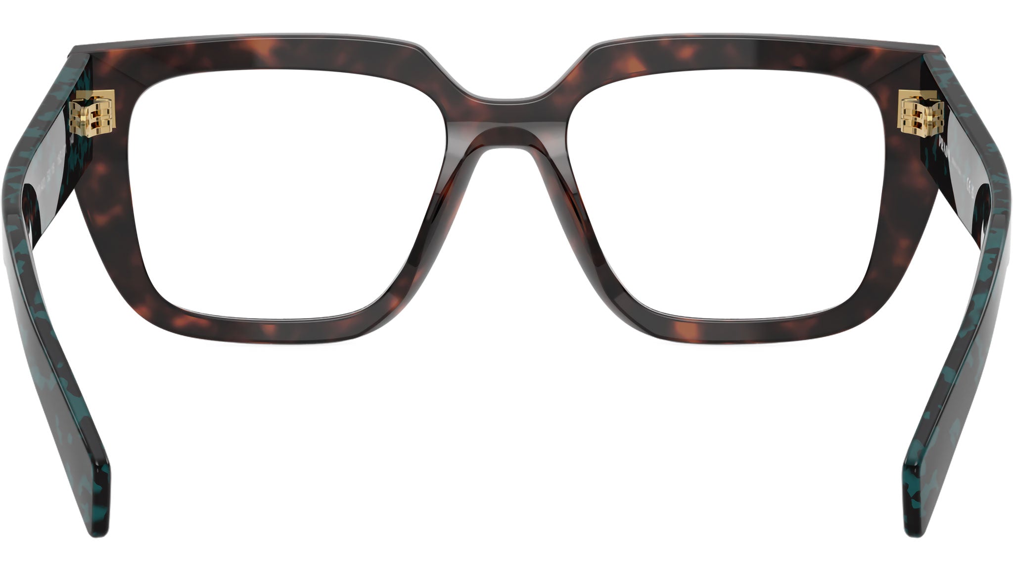 PRADA レザー ボウタイ PR A03V Prada Glasses 18Z1O1 Root Tortoise - eye-oo.com