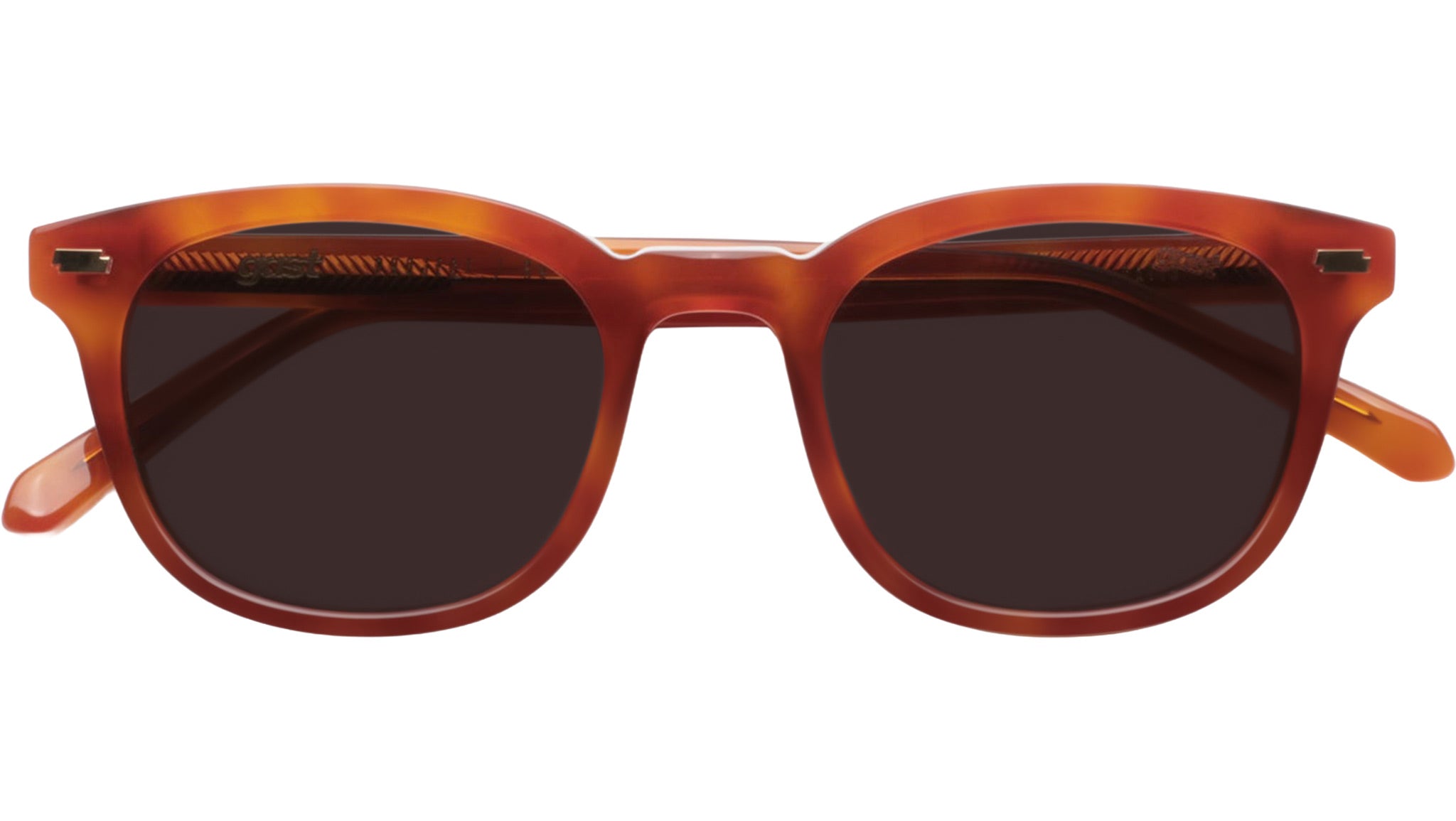 サングラス GAST Gast Eyewear - FED - havana flame (FED HAVANA FLAME) GAST GOTHA/HAVANA FLAME - Sunglasses