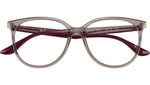 RB4378V Optics 8083