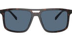 PR A22S 17N06A Tortoise