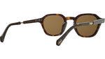 Rell S Hickory Tortoise