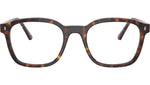 RB5460 Optics 2012