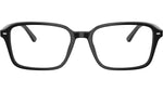 Raimond Optics RB5431 2000