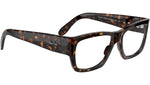 Nomad Wayfarer Optics RB5487 2012