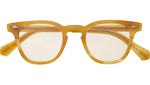 Dean C Honey Tortoise