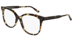 BV0121O shiny spotted tortoise