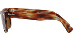Laramie RB2201 954/57 striped havana
