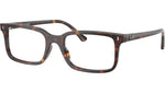 RB5445 Optics 2012