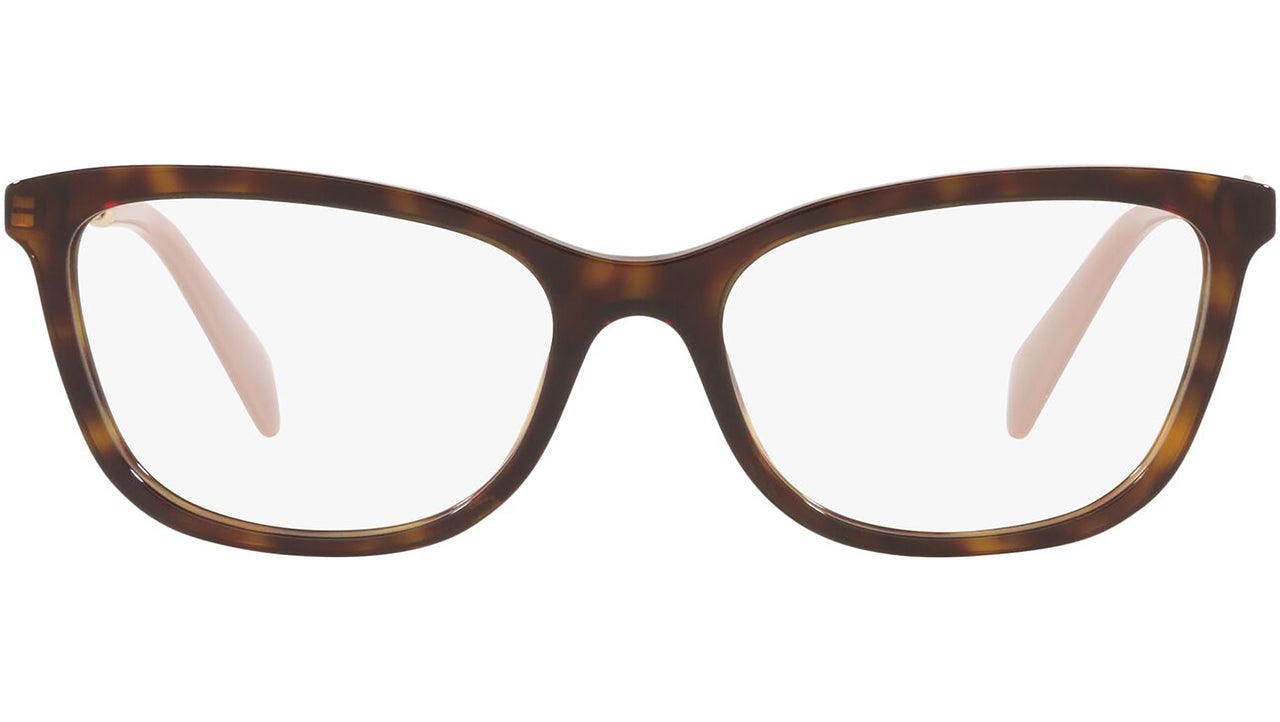 PR 02YV tortoise