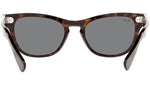 Laramie RB2201 902/B1 tortoise