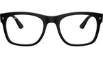 RB7228 Optics 2477
